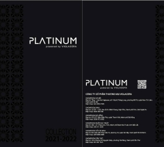 Catalogue Platinum 2024