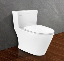 Bồn cầu 1 khối Viglacera Platinum P.11.320