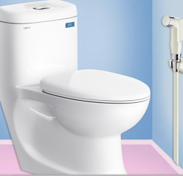 Bệt C0504 (XK, dây inox, V37M,KK) +xịt VG826