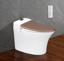 Bồn cầu thông minh Viglacera V94.GW