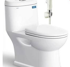 Bệt C109 trắng (PK, dây cấp inox, V38M, KK)+xịt VG826