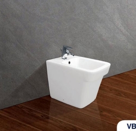 Bồn tiểu nữ viglacera VB50