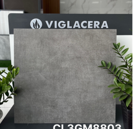 Gạch Granite CL3-GM8803 A1