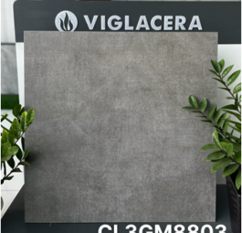 Gạch Granite CL3GM8803