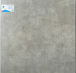 Gạch Granite CL3M6603A1