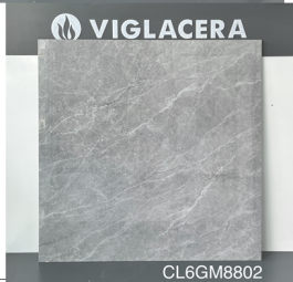 Gạch Granite CL6-GP8802 A1