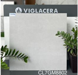 Gạch Granite CL7GM8802
