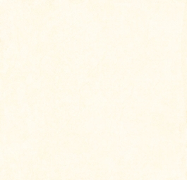 Gạch lát nền Viglacera M420