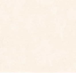 Gạch ốp CL367 A1