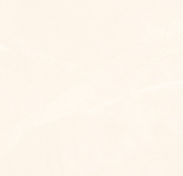 Gạch ốp lát Viglacera CL-GP4805