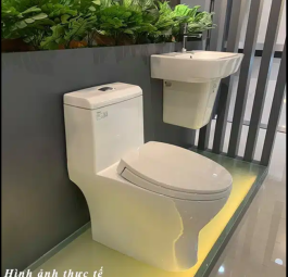 Bồn cầu liền 1 khối Viglacera V45