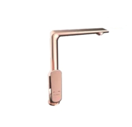 Vòi rửa bát Viglacera Platinum P.55.358